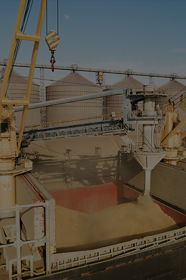 Dry Bulk Cargo Agency